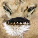 Sticker @suicideseason shit n' stuff - 3