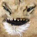 Sticker @suicideseason shit n' stuff - 6