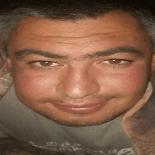 человеческое лицо Человек бровь