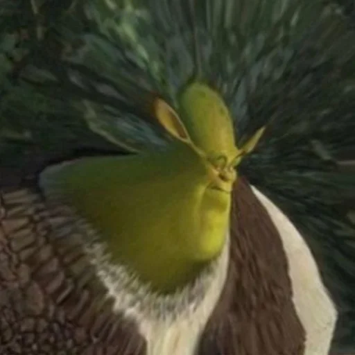 птица животное растение