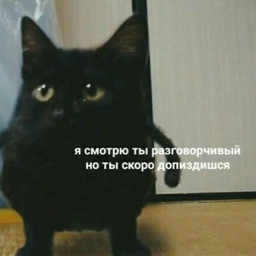 Стикер сука мемы блять пиздец - 6