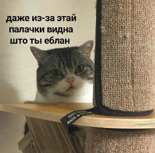 Sticker ебемся, девочки by @fStikBot - 11