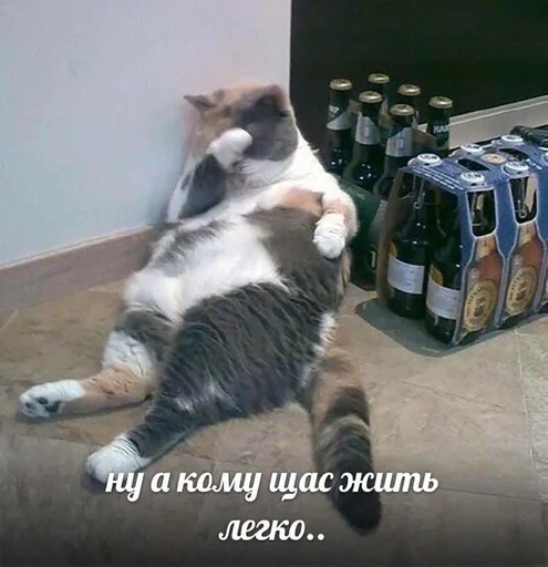 Sticker ебемся, девочки by @fStikBot - 5