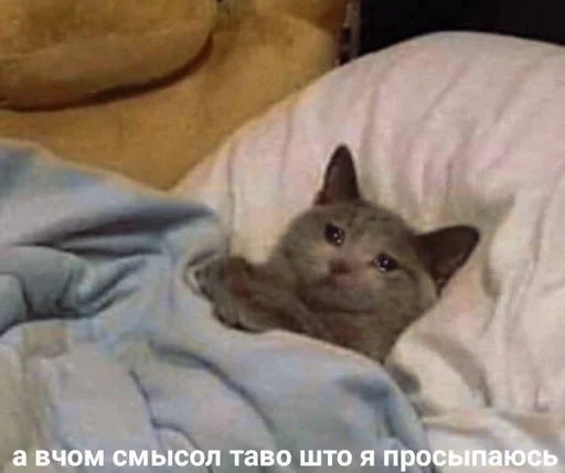 Sticker ебемся, девочки by @fStikBot - 4