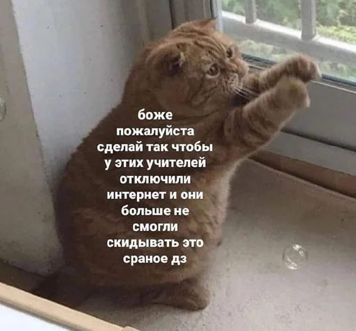 Sticker ебемся, девочки by @fStikBot - 3