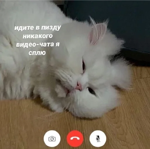 Sticker ебемся, девочки by @fStikBot - 2