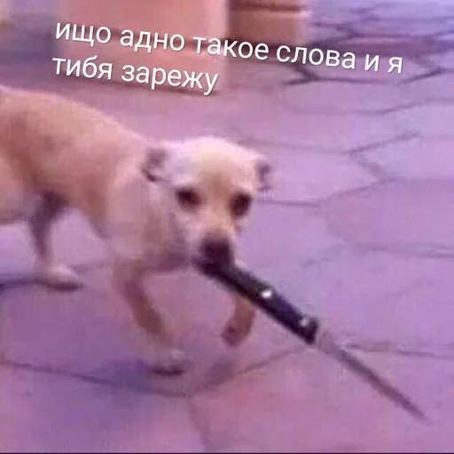 Sticker ебемся, девочки by @fStikBot - 1