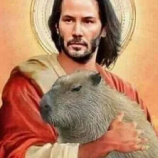 Стикер капибары 👀 от сули - 8