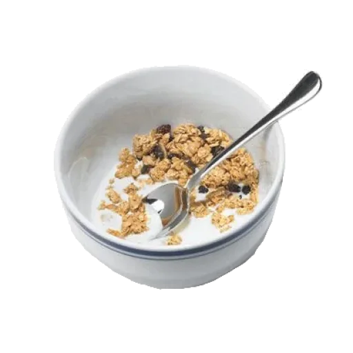 breakfast cereal bowl snack