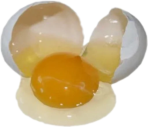 egg egg yolk egg white