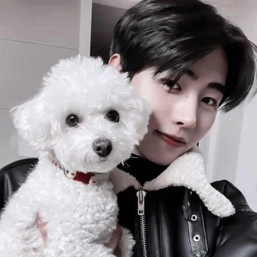 #sunghoon aesthetic «🎭 by @lumicore_present - 