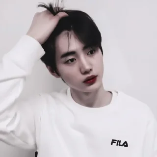 Sticker #sunghoon aesthetic «🎭 by @lumicore_present - 8