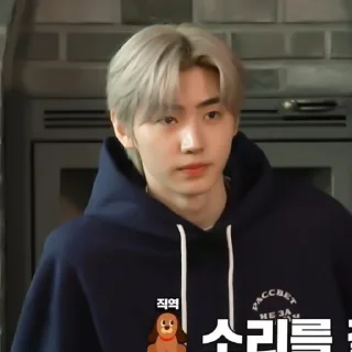 Sticker ✦ sunghoon : @milwuni - 11