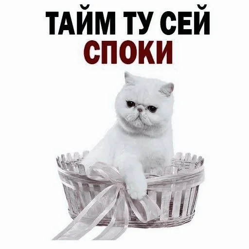 Sticker 🐙:;𝙨𝙪𝙣𝙤𝙤⁂ / @kookluvv :: @fStikBot - 3