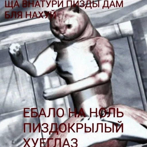 Sticker 🐙:;𝙨𝙪𝙣𝙤𝙤⁂ / @kookluvv :: @fStikBot - 2