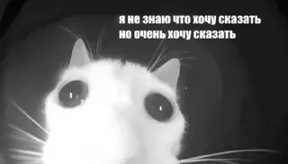 Стикер SUNRISE | @sunrise_ss14 - 4