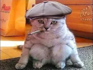 Стикер SUNRISE | @sunrise_ss14 - 7