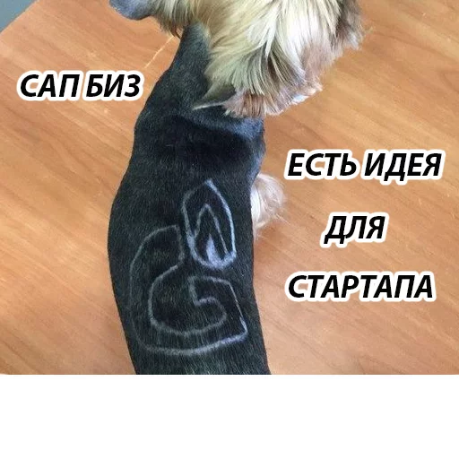 Sticker Бизач /supbiz стикерс - 6