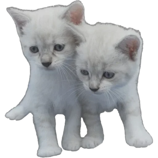 Стикер superMEGAthrasher - 1