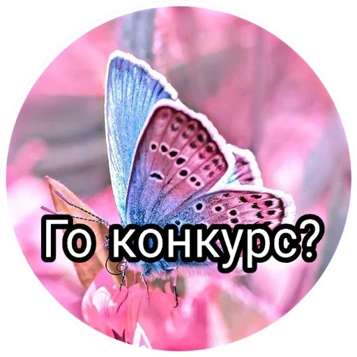 Стикер Для канала: @super_girl302 by @fStikBot - 0