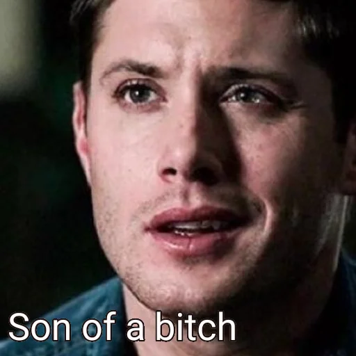 человеческое лицо СМС Человек