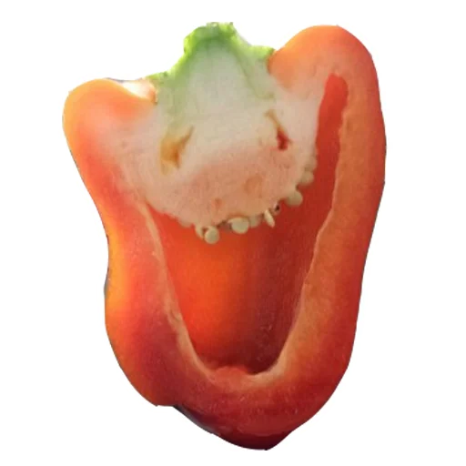 перец сладкий перец