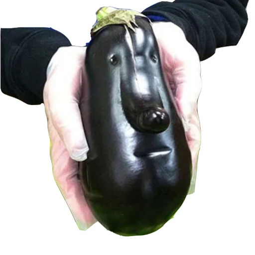 баклажан овощ пища