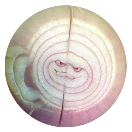 круг посуда посуда