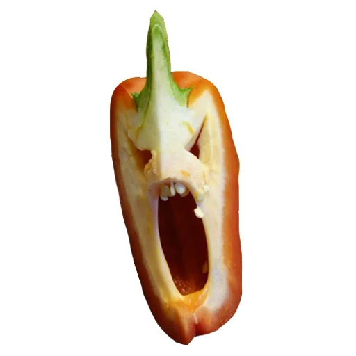 овощ перец пища