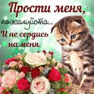 Sticker сочные киски - 11