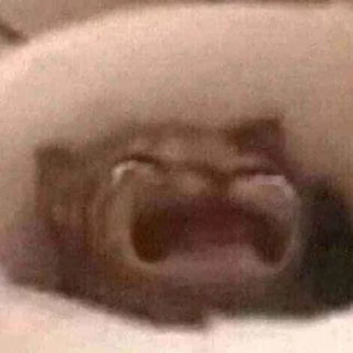 sink bathroom indoor