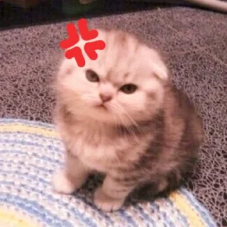 Sticker 𝑺𝒖𝒑𝒆𝒓𝒎𝒆𝒏𝒈 ✧ Xemocca Rue-Bellanoire - 6