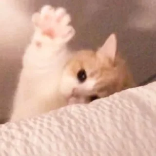 Sticker 𝑺𝒖𝒑𝒆𝒓𝒎𝒆𝒏𝒈 ✧ Xemocca Rue-Bellanoire - 8