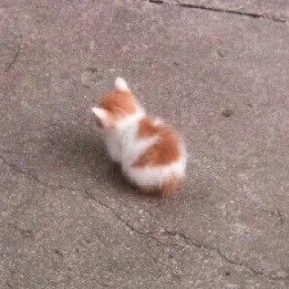 Sticker 𝑺𝒖𝒑𝒆𝒓𝒎𝒆𝒏𝒈 ✧ Xemocca Rue-Bellanoire - 2