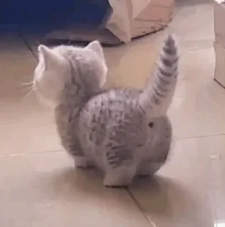 Sticker 𝑺𝒖𝒑𝒆𝒓𝒎𝒆𝒏𝒈 ✧ Xemocca Rue-Bellanoire - 3