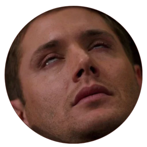 человеческое лицо мужчина Человек