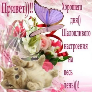 Sticker мерцающие открытки✨ - 0