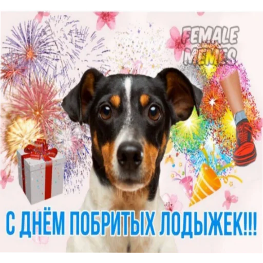 Стикер superrussianholidays - 1