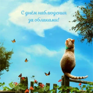 Sticker мерцающие открытки✨ - 2