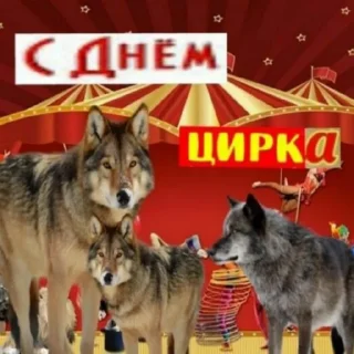 Sticker мерцающие открытки✨ - 8