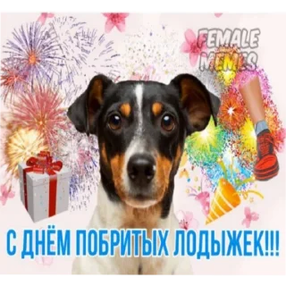 Sticker мерцающие открытки✨ - 5