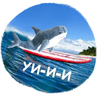 Sticker Surf - 10