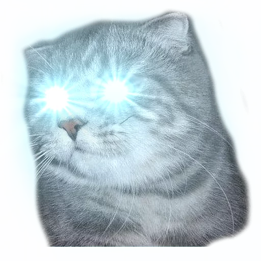 Sticker surprised cat - 0