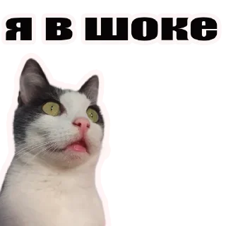 Sticker [YouTube]Сюрфак - 0