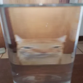 Стикер SUSHI - 9