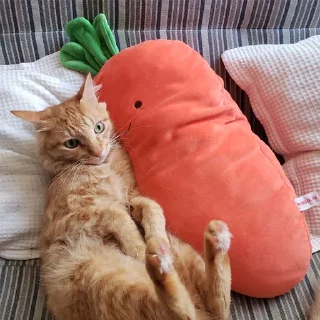 Стикер SUSHI - 8