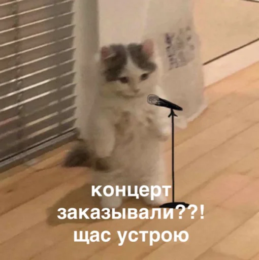 Sticker susik_zuzik - 1