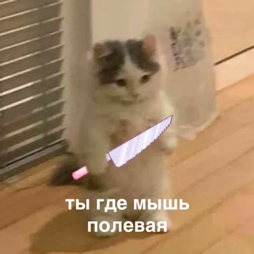 Sticker susik_zuzik - 1