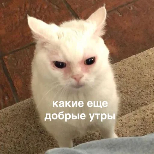 Sticker susik_zuzik - 1