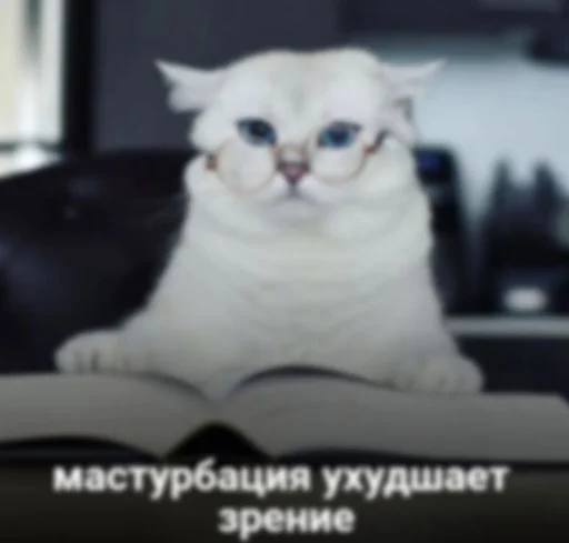 Sticker susik_zuzik - 1